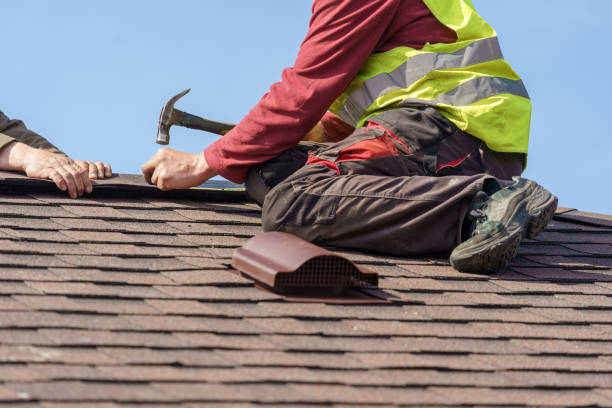 Best Roof Gutter Cleaning  in Honokaa, HI