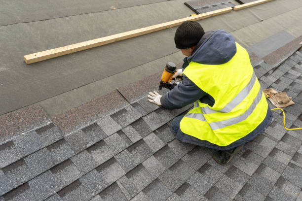Best Metal Roofing Contractor  in Honokaa, HI