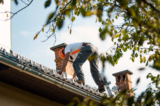 Best Emergency Roof Repair  in Honokaa, HI