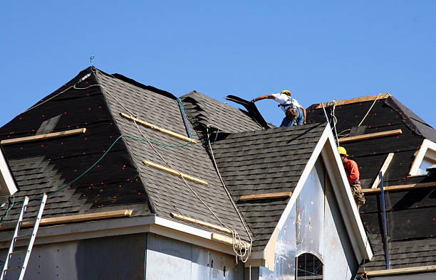 Best Storm Damage Roof Repair  in Honokaa, HI