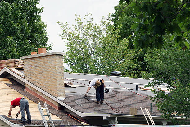 Best Flat Roof Repair Services  in Honokaa, HI