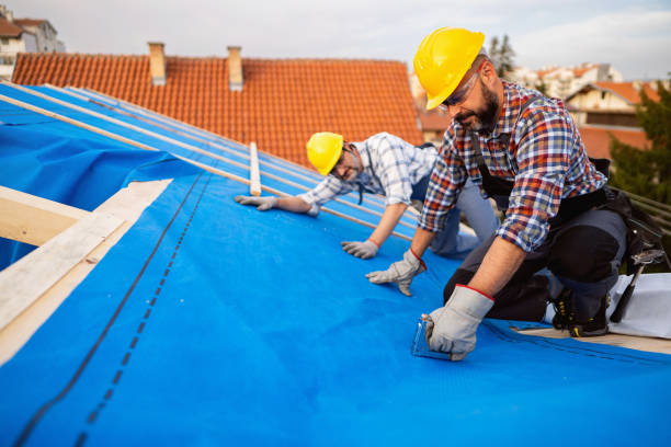 Best Roof Repair Services  in Honokaa, HI