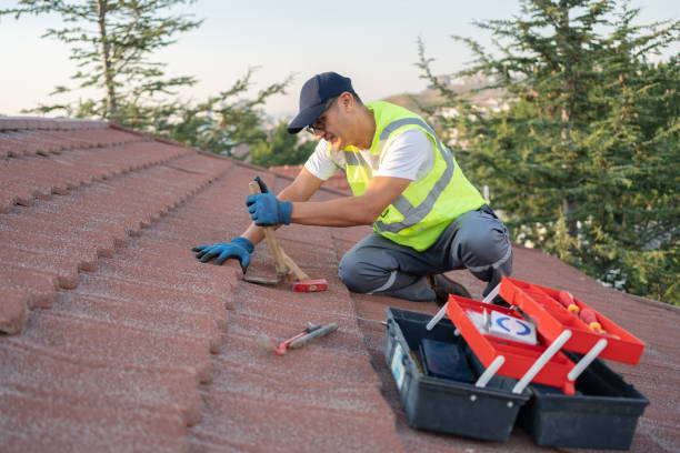 Best Sealant for Roof  in Honokaa, HI