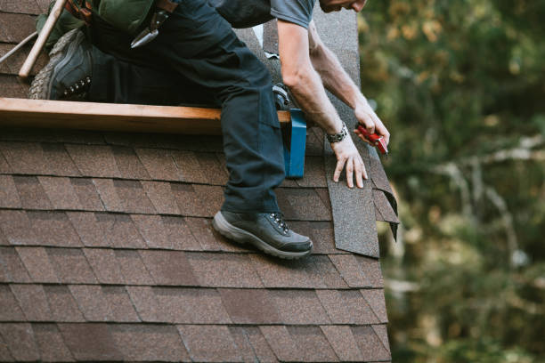 Best Roof Repair Services  in Honokaa, HI